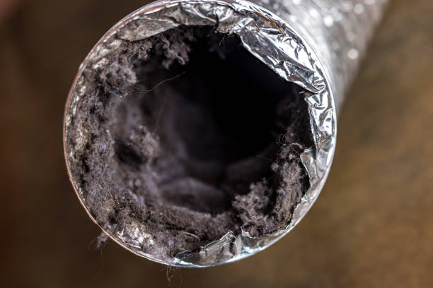 Best Air Duct Cleaning Near Me in Lakeland, MN